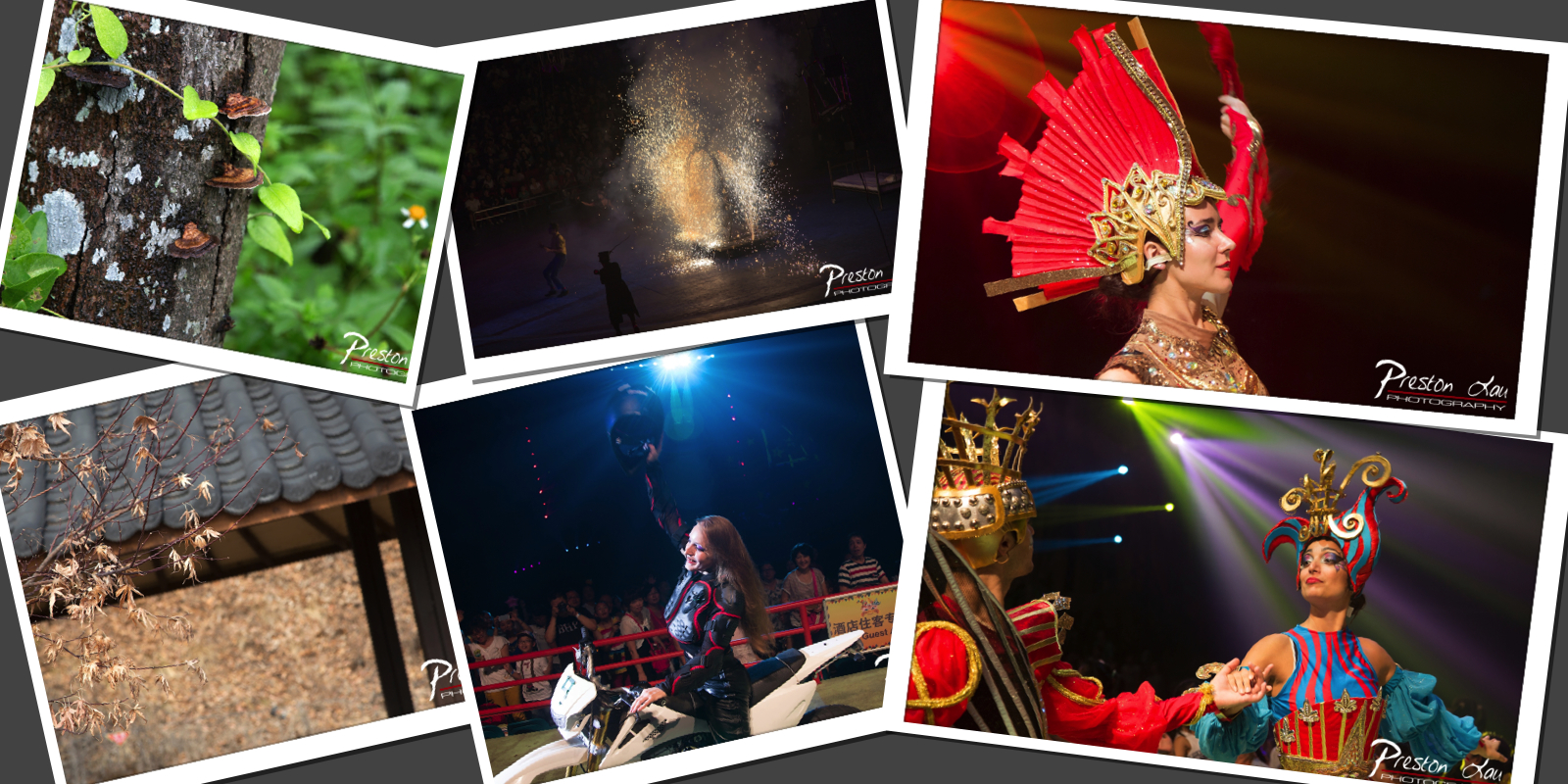 Year 2015 Best Photos