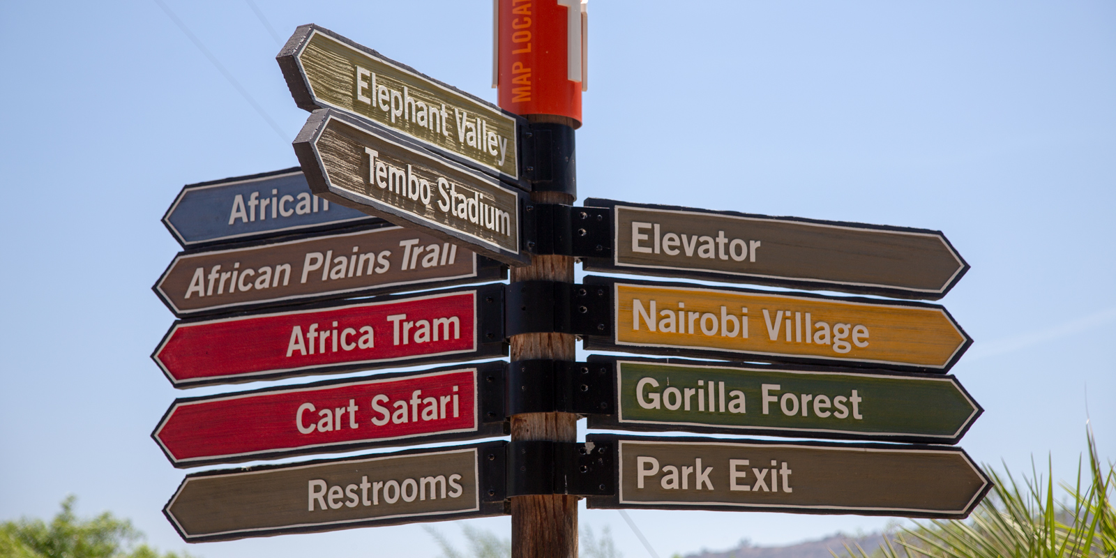 Exploring the Expansive Zoo Safari Park in San Diego California
