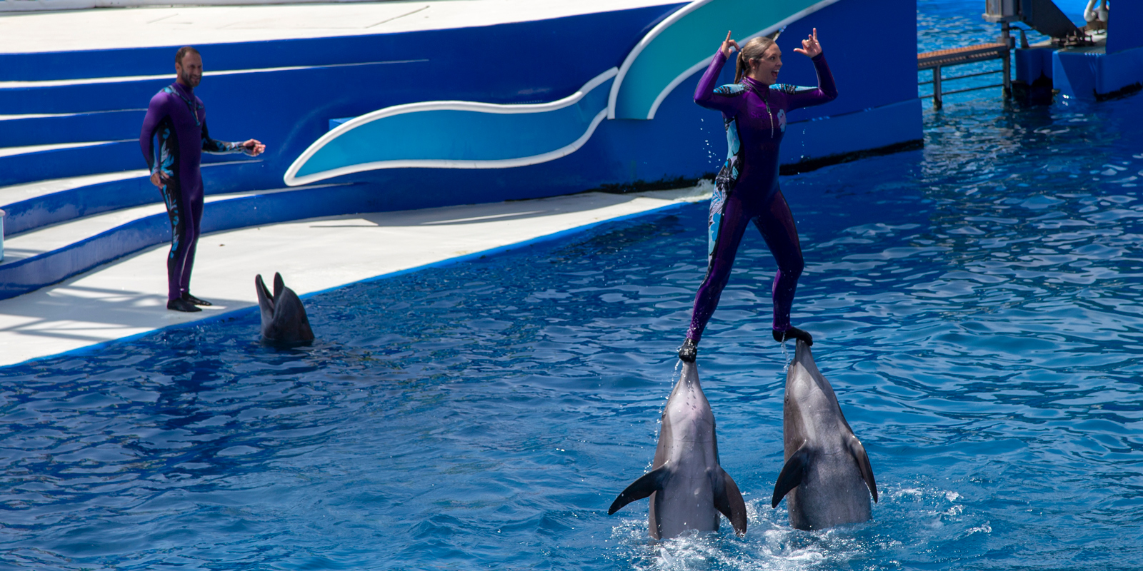 Splashing Fun and Ocean Wonders at Seaworld San Diego August 2018
