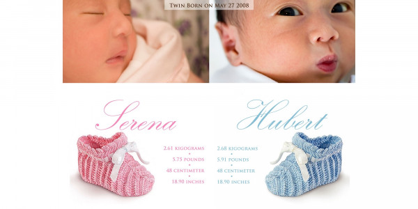Twin Babies Have Arrived! Double the Bundles, Double the Love!